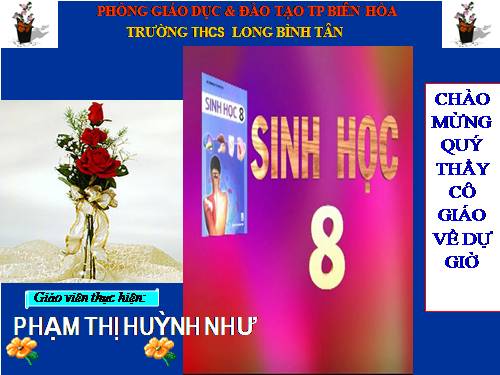 Bài 30. Vệ sinh tiêu hóa