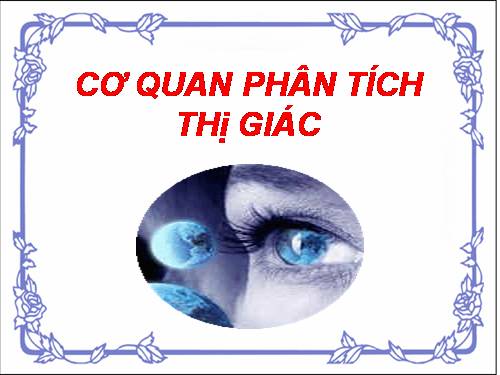 Bài 49. Cơ quan phân tích thị giác