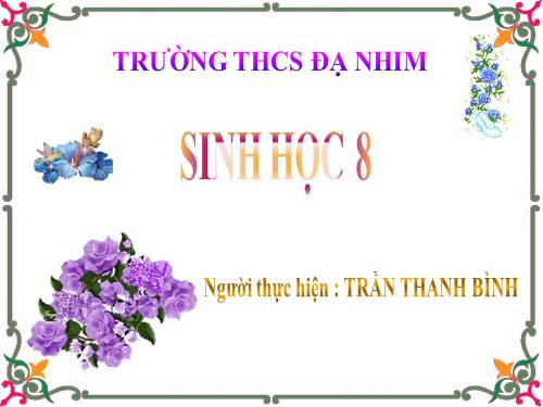 Bài 26. Thực hành: Tìm hiểu hoạt động của enzim trong nước bọt