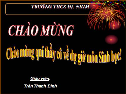 Bài 25. Tiêu hóa ở khoang miệng