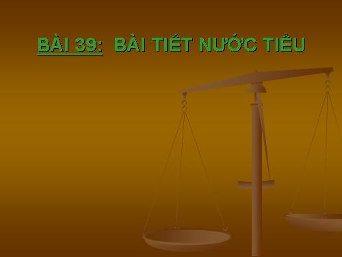 Bài 39. Bài tiết nước tiểu