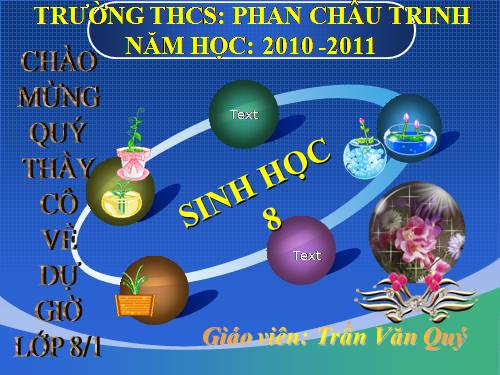 Bài 24. Tiêu hóa và các cơ quan tiêu hóa