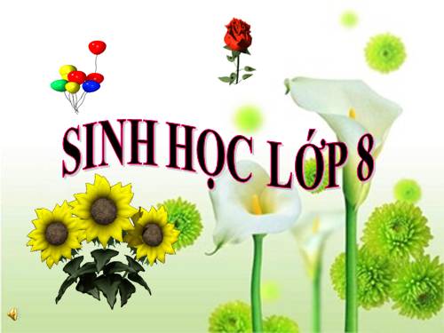 Bài 17. Tim và mạch máu