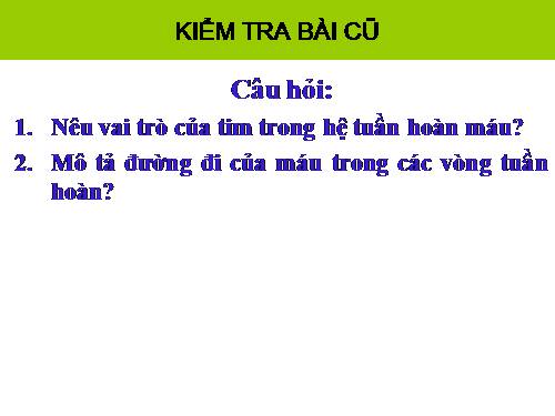 Bài 17. Tim và mạch máu