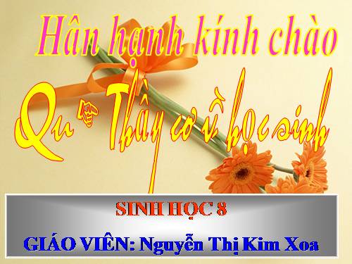 Bài 15. Đông máu và nguyên tắc truyền máu