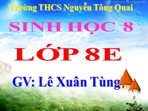 Bài 17. Tim và mạch máu