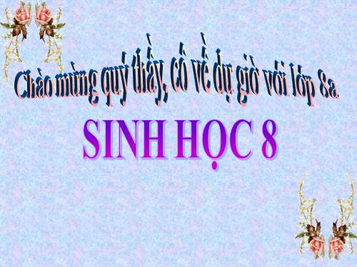 Bài 16. Tuần hoàn máu và lưu thông bạch huyết
