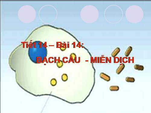 Bài 14. Bạch cầu- Miễn dịch