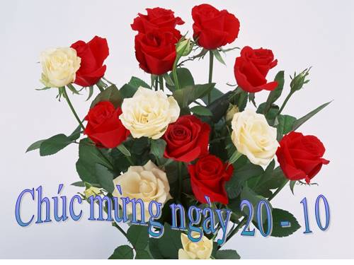 chuyên đề chăm sóc sức khỏe sinh sản vị thành niên