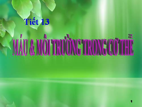 Bài 13. Máu và môi trường trong cơ thể