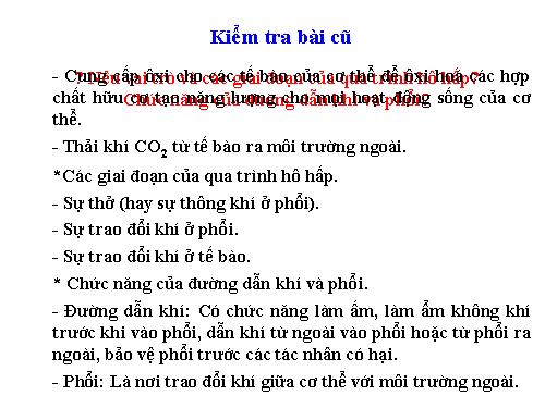Bài 21. Hoạt động hô hấp