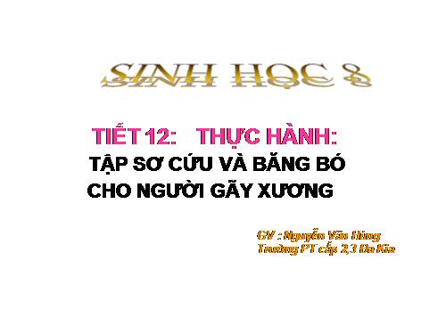 Bài 12. Thực hành: Tập sơ cứu và băng bó cho người gãy xương