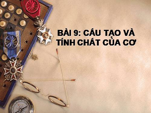 Bài 9. Cấu tạo và tính chất của cơ