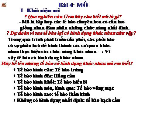 Bài 4. Mô