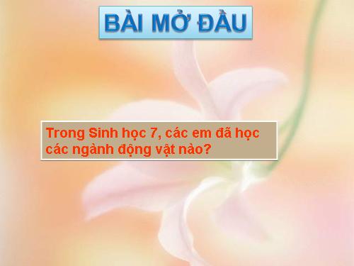 Bài 1. Bài mở đầu