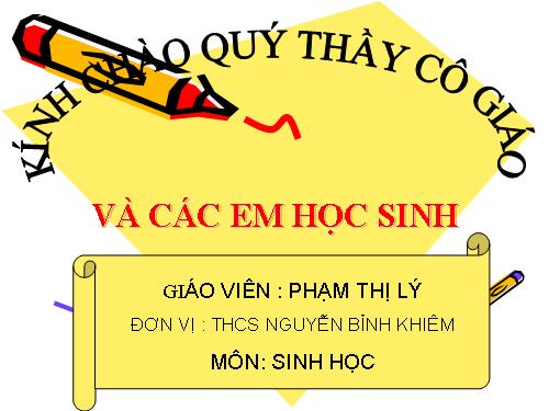 Bài 8. Cấu tạo và tính chất của xương