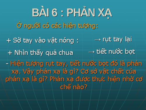 Bài 6. Phản xạ