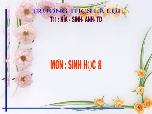Bài 46. Trụ não. Tiểu não. Não trung gian