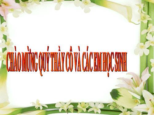 Bài 45. Dây thần kinh tủy