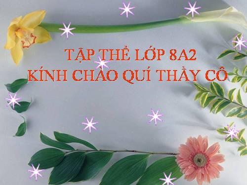 Bài 39. Bài tiết nước tiểu
