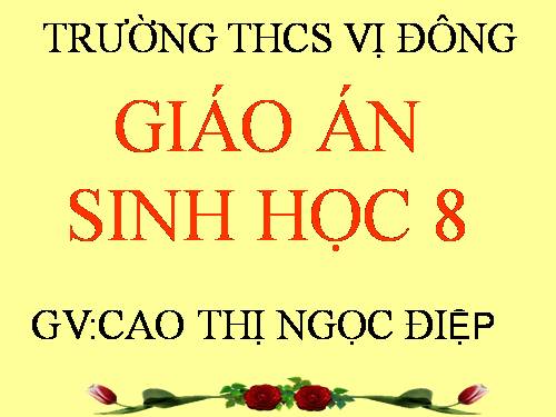 Bài 15. Đông máu và nguyên tắc truyền máu