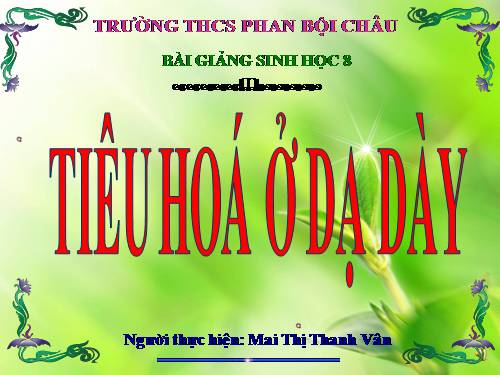 Bài 27. Tiêu hóa ở dạ dày