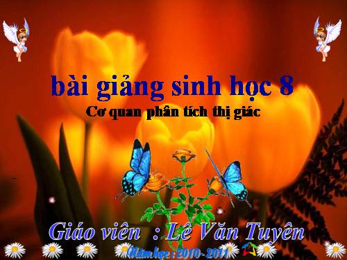 Bài 49. Cơ quan phân tích thị giác