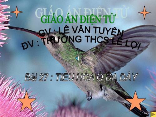 Bài 27. Tiêu hóa ở dạ dày