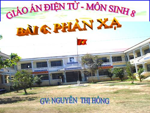 Bài 6. Phản xạ