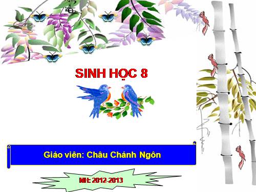 Bài 51. Cơ quan phân tích thính giác