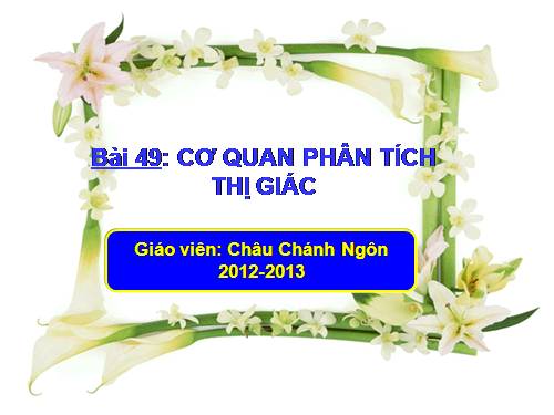 Bài 49. Cơ quan phân tích thị giác