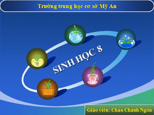 Bài 44. Thực hành: Tìm hiểu về hệ chức năng (liên quan đến cấu tạo) của tủy sống