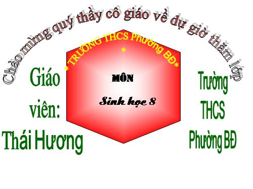 Bài 34. Vitamin và muối khoáng