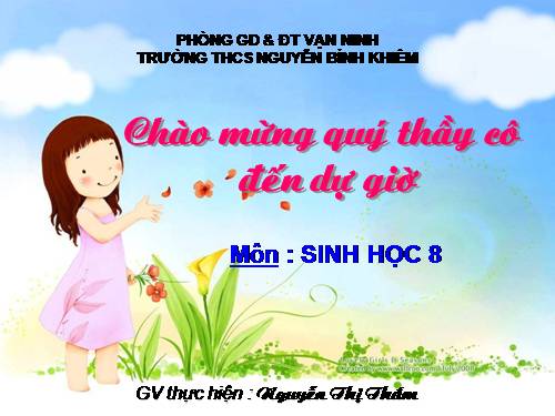 Bài 40. Vệ sinh hệ bài tiết nước tiểu