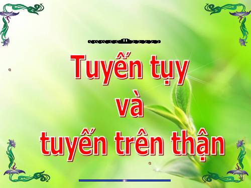 Bài 57. Tuyến tụy và tuyến trên thận