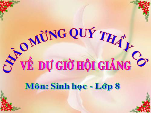 Bài 50 Vệ sinh mắt