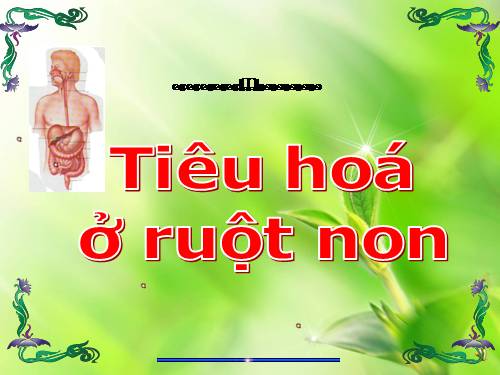 Bài 28. Tiêu hóa ở ruột non