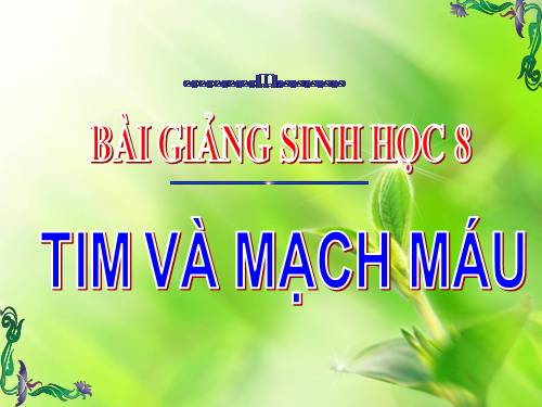 Bài 17. Tim và mạch máu