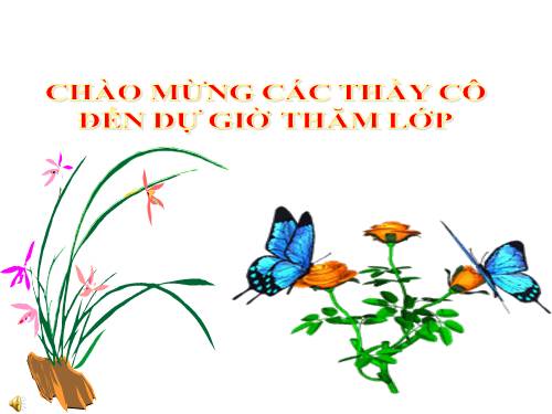 Bài 47. Đại não