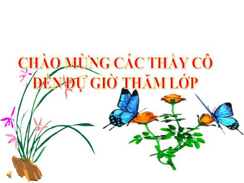 Bài 39. Bài tiết nước tiểu