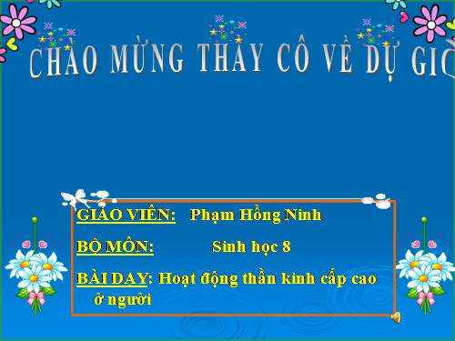 Bài 53. Hoạt động thần kinh cấp cao ở người