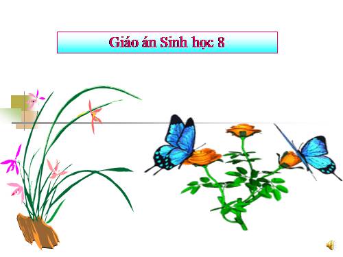 Bài 44. Thực hành: Tìm hiểu về hệ chức năng (liên quan đến cấu tạo) của tủy sống