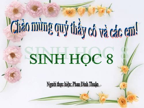 Bài 48. Hệ thần kinh sinh dưỡng