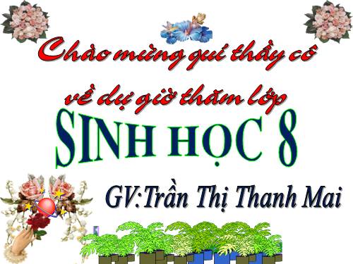 Bài 54. Vệ sinh hệ thần kinh