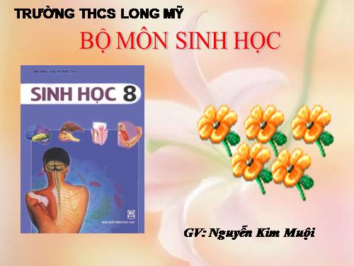 Bài 59. Sự điều hòa và phối hợp hoạt động của các tuyến nội tiết