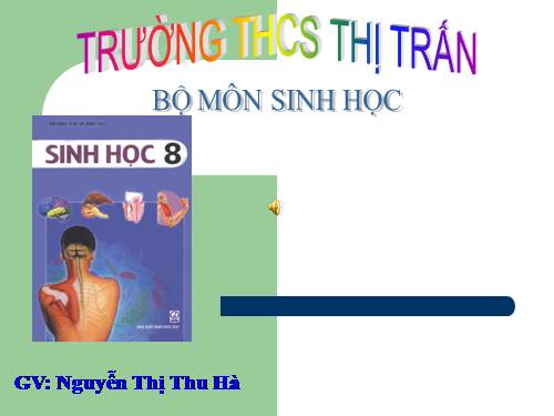 Bài 59. Sự điều hòa và phối hợp hoạt động của các tuyến nội tiết