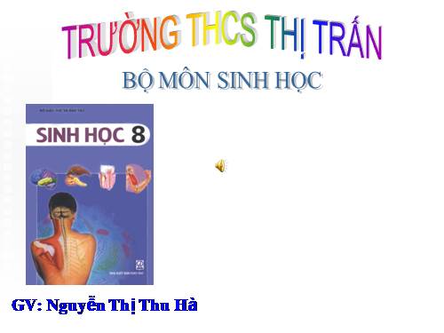 Bài 58. Tuyến sinh dục