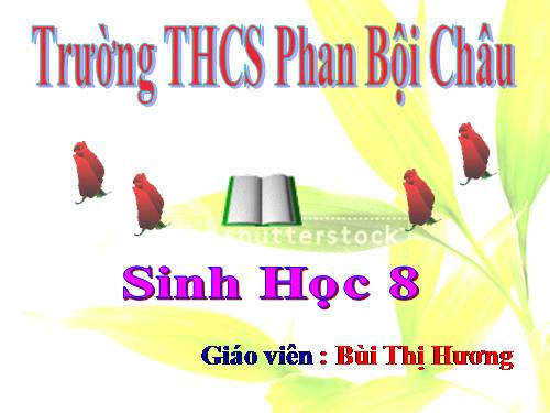 Bài 2. Cấu tạo cơ thể người