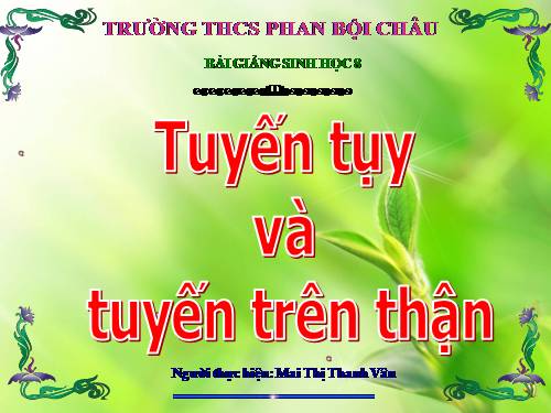 Bài 57. Tuyến tụy và tuyến trên thận