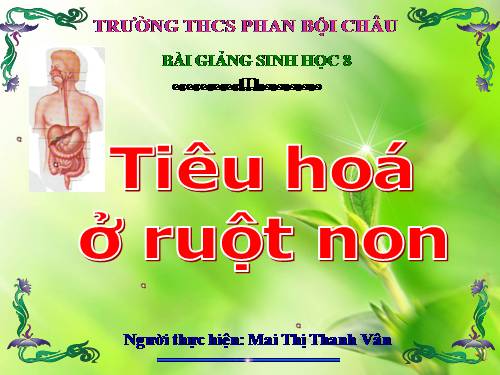 Bài 28. Tiêu hóa ở ruột non